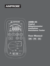 Amprobe AMB-45 Digital Megohmmeter Manual de usuario