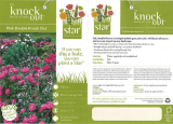 Knock Out Rose 71353 Manual de usuario