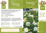 Knock Out Rose 71393 Guía del usuario