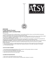 Alsy 20540-001 Instrucciones de operación
