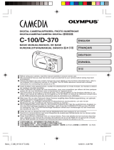 Olympus C-100 El manual del propietario