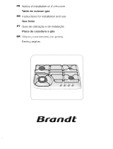 Groupe Brandt TE274XS1 El manual del propietario