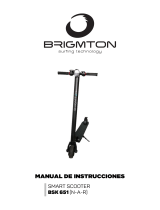 Brigmton BSK-651-R El manual del propietario