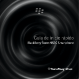 Blackberry Storm 9530 Manual de usuario