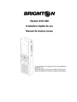 Brigmton BVR-600 El manual del propietario