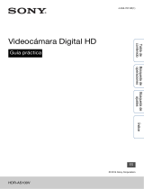 Manual del Usuario Sony HDR-AS100V Guía del usuario