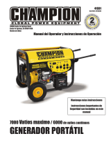 Champion Power Equipment41331