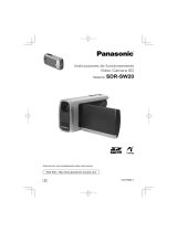 Panasonic SDR SW20 Manual de usuario