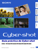 Sony Cyber-shot DSC-W360 Instrucciones de operación