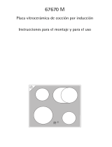 Aeg-Electrolux 67670M-MN Manual de usuario