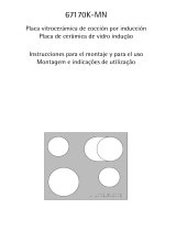 Aeg-Electrolux 67170K-MN48F Manual de usuario