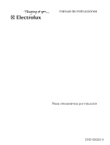 Electrolux EHD60020X Manual de usuario