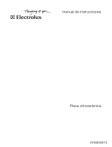 Electrolux EHS60061X Manual de usuario