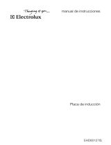 Electrolux EHD60127IS Manual de usuario