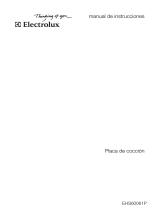 Electrolux EHS60061P Manual de usuario