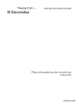 Electrolux EHD60100P Manual de usuario