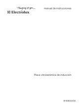 Electrolux EHD60020X Manual de usuario