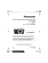 Panasonic DCGX800KEC Guía de inicio rápido