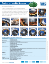 WEG Daños en los Bobinados - Motores Trifásicos Guía de inicio rápido