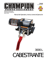 Champion Power Equipment30145