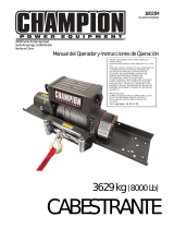 Champion Power Equipment10021