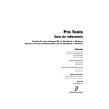 Avid Pro Tools 5.3 Manual de usuario