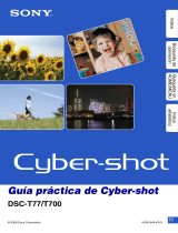 manual Cyber Shot DSC-T700 Manual de usuario