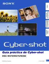 Sony Cyber Shot DSC-W290 Guía del usuario