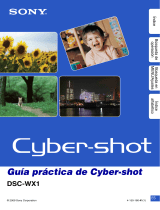 Sony Cyber Shot DSC-WX1 Guía del usuario