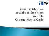 Manual deOrange Monte Carlo Orange