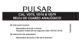 Pulsar VD76 Instrucciones de operación