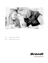 Brandt TI1411X El manual del propietario