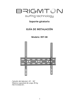 Brigmton BST-66 El manual del propietario