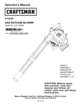Craftsman 316.794830 Manual de usuario