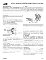 ACE 3038379 Manual de usuario
