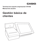 Casio V-R100 Manual de usuario