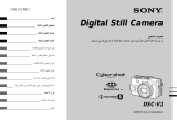 Sony DSC-V1 Instrucciones de operación