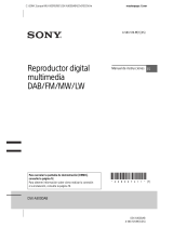 Sony DSX-A300DAB Manual de usuario