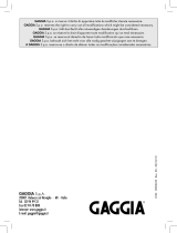 Gaggia RI9301/01 Manual de usuario