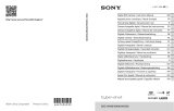 Sony DSC-WX200 Manual de usuario