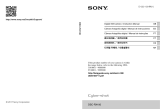 Sony DSC-RX100 Manual de usuario