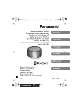 Panasonic SC-RB5E El manual del propietario