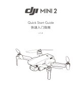 dji mini 2 Manual de usuario