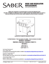 Saber Compact R33SC0012 Manual de usuario