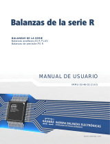 RADWAG PS 10100.R2.M Manual de usuario