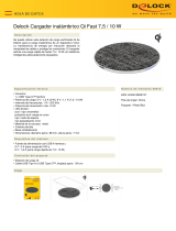 DeLOCK 65919 Ficha de datos