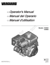 Briggs & Stratton 10V332-0006-F1 Manual de usuario