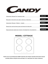 Candy CITT642C Manual de usuario