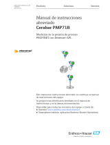 Endres+Hauser Cerabar PMP71B Short Instruction