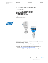 Endres+Hauser KA Micropilot FMR63B PROFIBUS PA Short Instruction